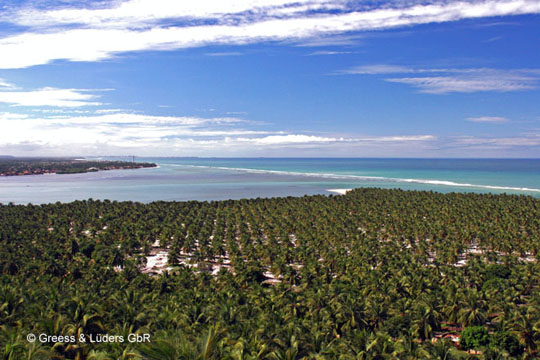 10_02_Coco_12_Maceio_BB
