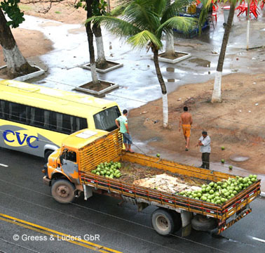 13_1426Maceio_B