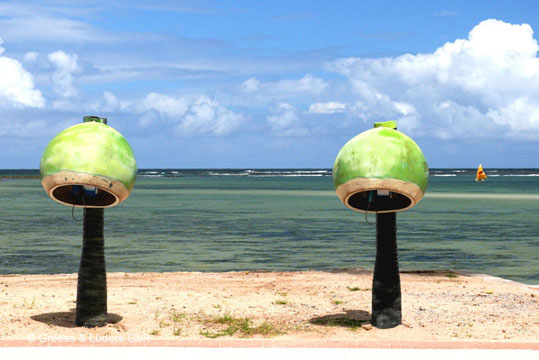 23_Coco_01_0955Maceio_A