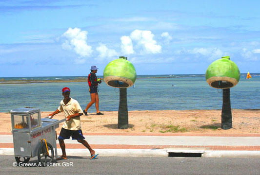 24_Coco_02_0967Maceio_B_A