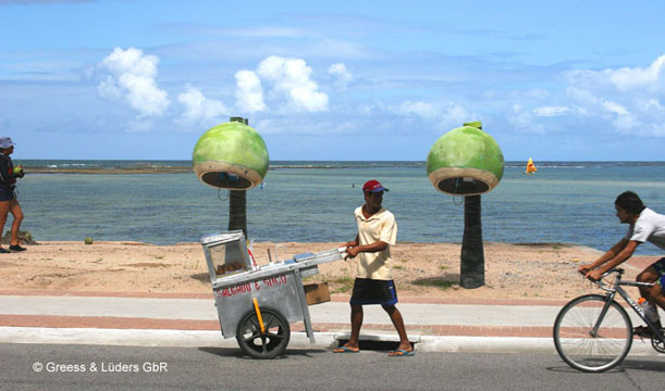 26_Coco_03_0966Maceio_B_A