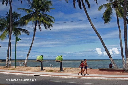 29_Coco_06_0969Maceio_BB