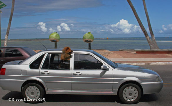 30_Coco_05_0961Maceio_BB