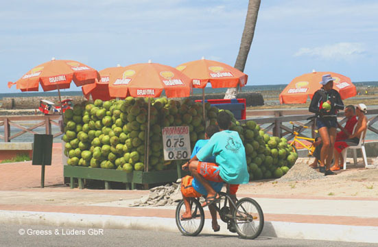 31_Coco_1_0964Maceio_B_A