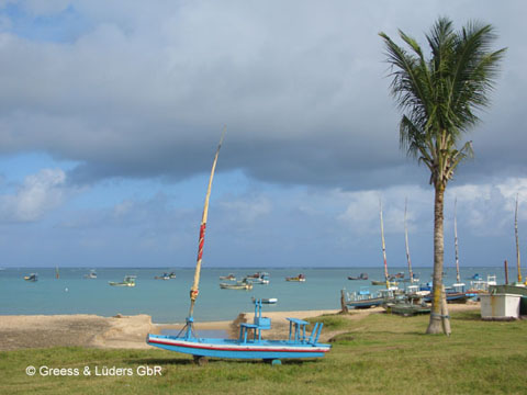 14_CIMG4726