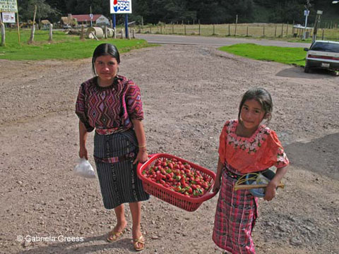 016_Guatemala_0948_b