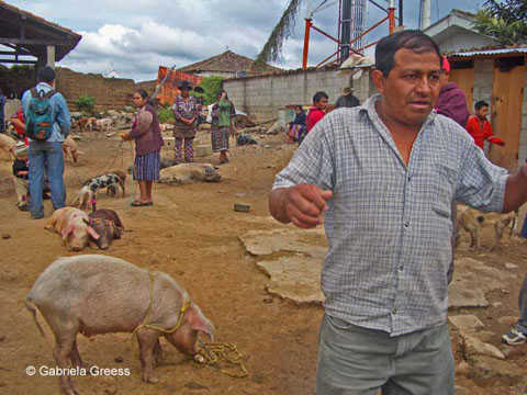 025_Guatemala_2592_B