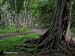 056_Guatemala_0110_b