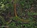 068_Guatemala_0326_bP
