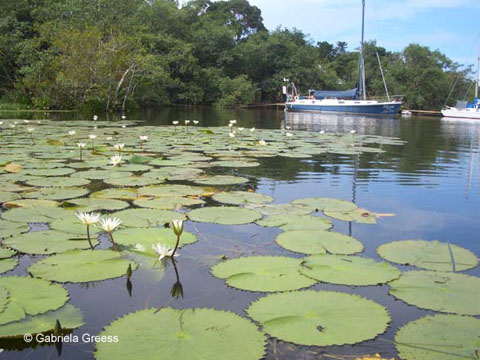 135_Guatemala_1719
