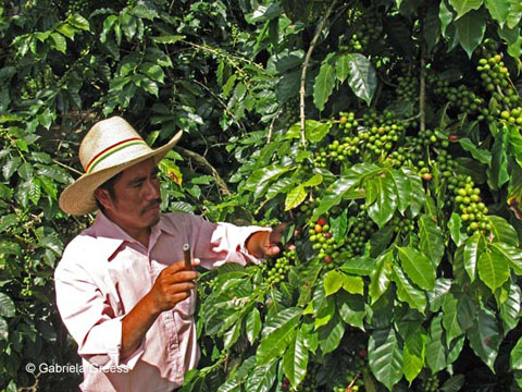 34_Guatemala_1287-b