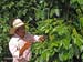 34_Guatemala_1287-b