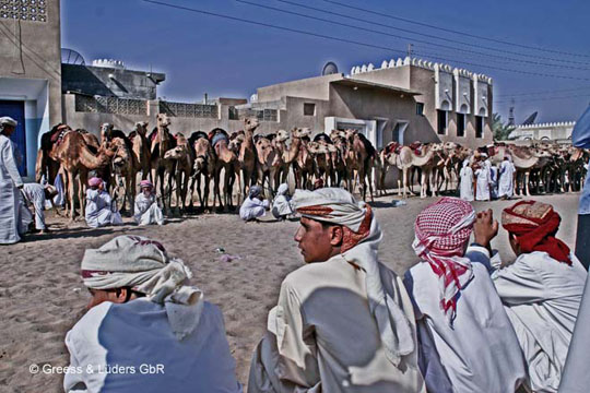 15_740_Oman_B