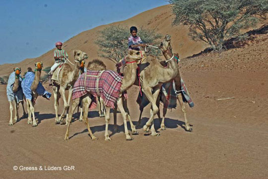 20_634_Oman_B
