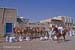 14_742_Oman_B