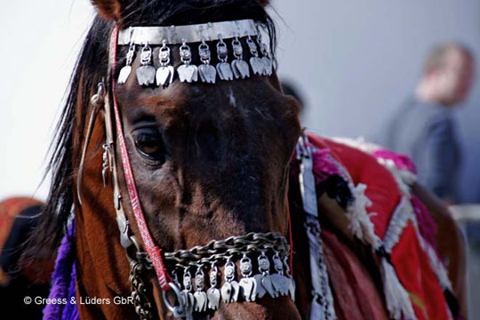 14_735_Oman_b