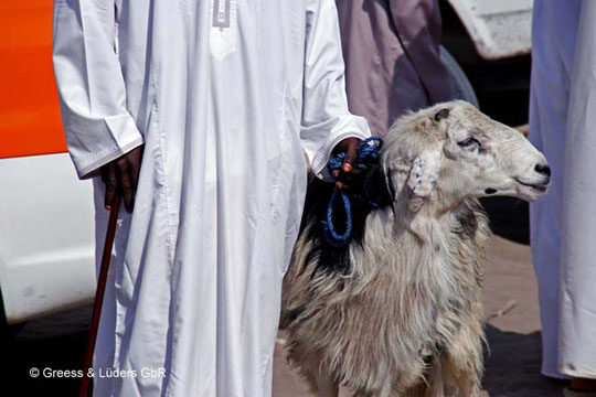 17_734_Oman_b