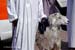 17_734_Oman_b
